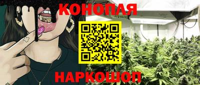 ГАЛЛЮЦИНОГЕННЫЕ ГРИБЫ Будённовск