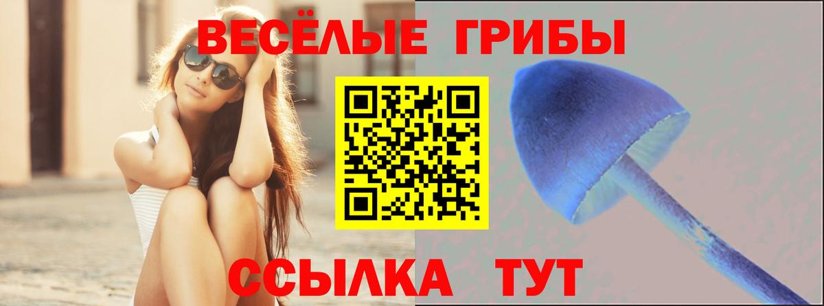 Галлюциногенные грибы мицелий Реж
