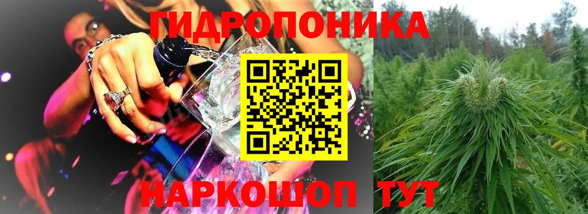 Шишки марихуана планчик  Вход с VPN  Каннабис Ganja  Реж  Конопля сатива  Бошки Шишки семена 